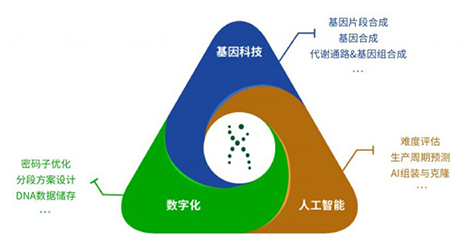 DNA合成與組裝解決方案