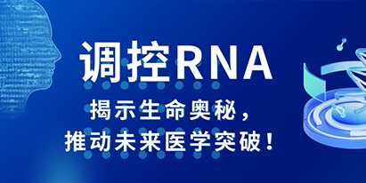 調(diào)控RNA：揭示生命奧秘，推動未來醫(yī)學(xué)突破！