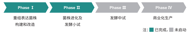 humanized type III collagen pichia pastoris strain